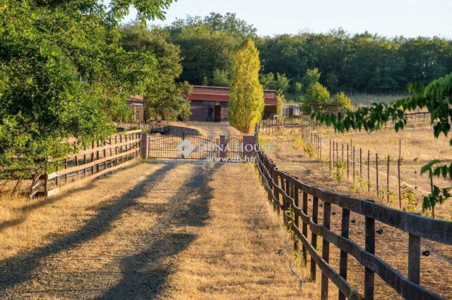 Eladó családi ház, Erdőkertesen 325 M Ft, 5 szobás
