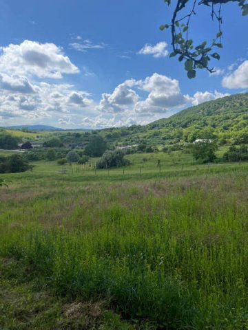 Eladó telek, Piliscsabán 40 M Ft / költözzbe.hu