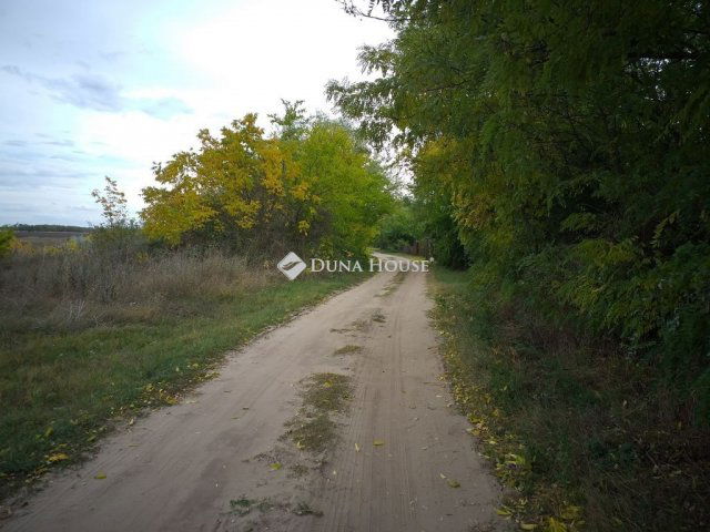 Eladó telek, Farmoson 2.5 M Ft / költözzbe.hu