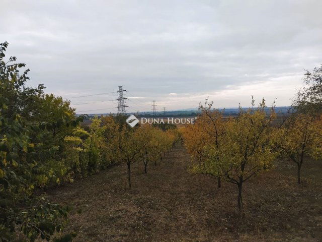 Eladó telek, Tordason 15 M Ft / költözzbe.hu