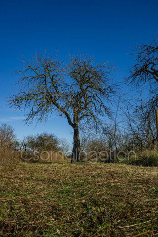 Eladó telek, Mórichidán 5 M Ft / költözzbe.hu