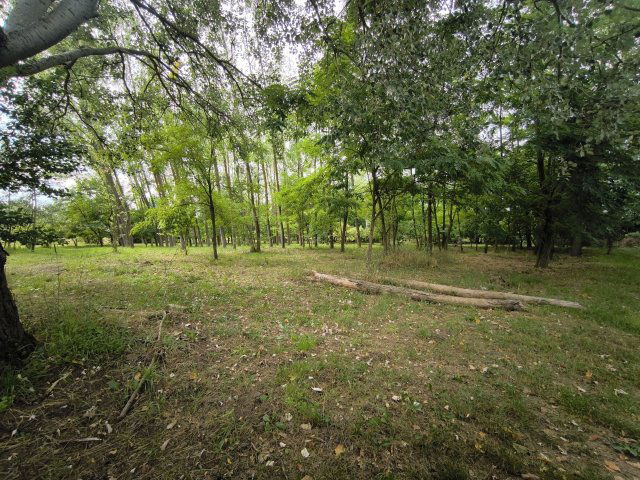 Eladó telek, Bujon 17.9 M Ft / költözzbe.hu