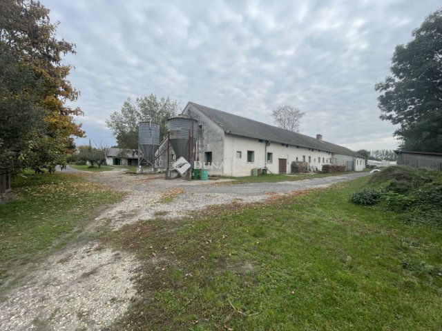 Eladó mezogazdasagi ingatlan, Barbacson 400 M Ft, 7 szobás