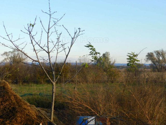 Eladó mezogazdasagi ingatlan, Fonyódon 165 M Ft