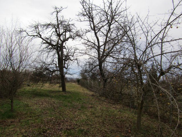 Eladó telek, Szombathelyen 12.3 M Ft / költözzbe.hu