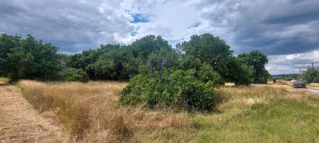 Eladó telek, Gárdonyban, Mandula úton 9 M Ft