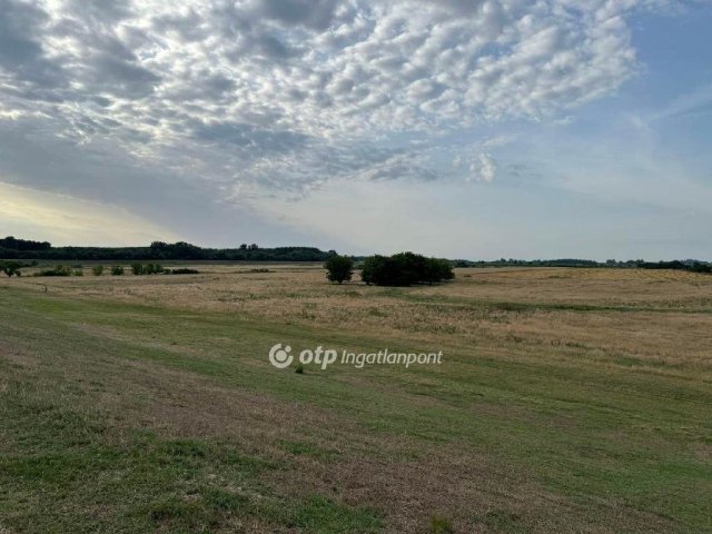 Eladó mezogazdasagi ingatlan, Deszken 89 M Ft