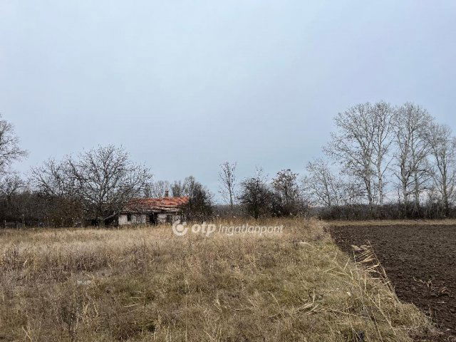 Eladó mezogazdasagi ingatlan, Nagykőrösön 4.9 M Ft, 2 szobás