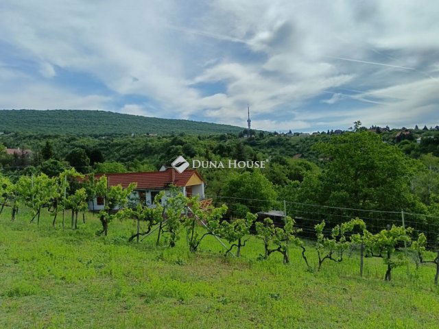 Eladó telek, Pécsett, Szurdok közben 24.9 M Ft