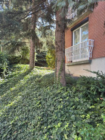 Eladó téglalakás, Budapesten, II. kerületben 181 M Ft, 3 szobás