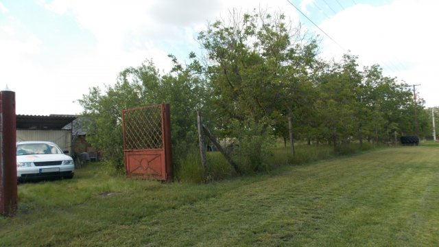 Eladó mezogazdasagi ingatlan, Kiskunfélegyházán 14.5 M Ft