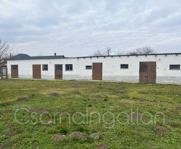 Eladó családi ház, Egyeden 38 M Ft, 4 szobás