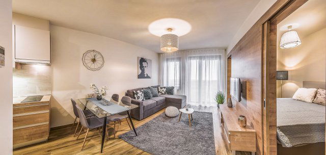 Kiadó téglalakás, albérlet, VI. kerületben, Székely Bertalan utcában