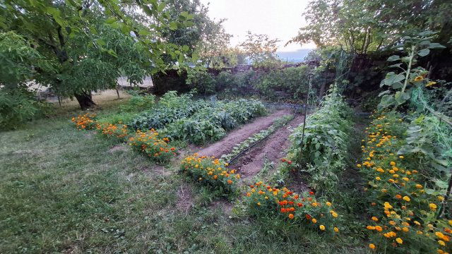 Eladó családi ház, Tótvázsonyban 79 M Ft, 3 szobás