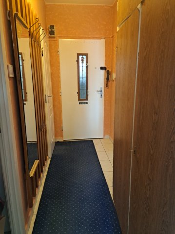 Kiadó panellakás, albérlet, Pécsett, Szigeti úton 160 E Ft / hó