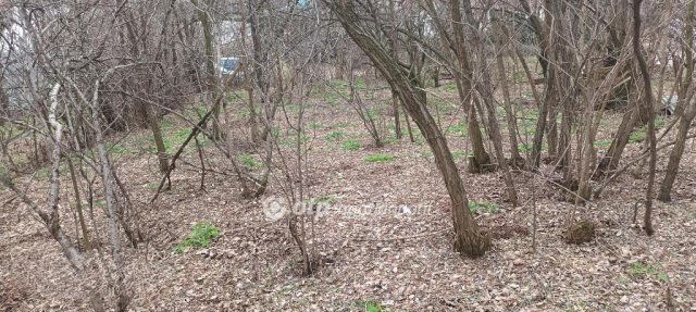 Eladó telek, Szigethalmon 53.5 M Ft / költözzbe.hu