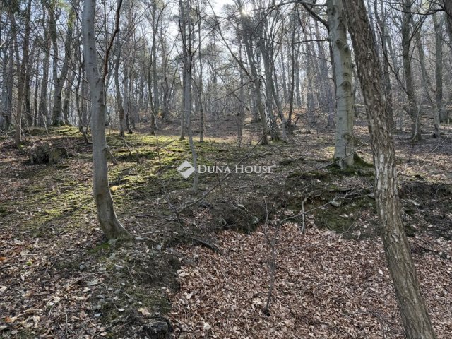 Eladó telek, Velemen 17.2 M Ft / költözzbe.hu