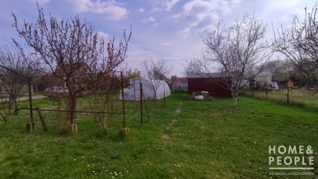 Eladó mezogazdasagi ingatlan, Szegeden 24.5 M Ft, 1 szobás