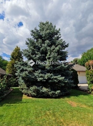 Eladó családi ház, Kecskeméten 134.99 M Ft, 4 szobás