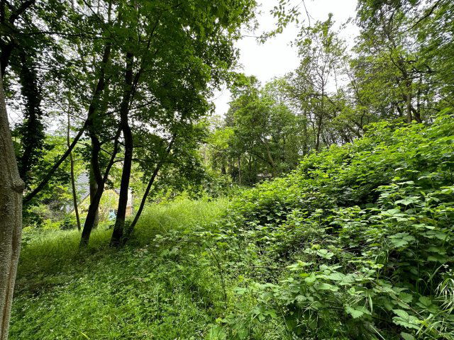 Eladó telek, Leányfaluban 29.9 M Ft / költözzbe.hu