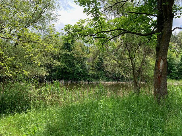 Eladó téglalakás, Únyon 48 M Ft, 2 szobás