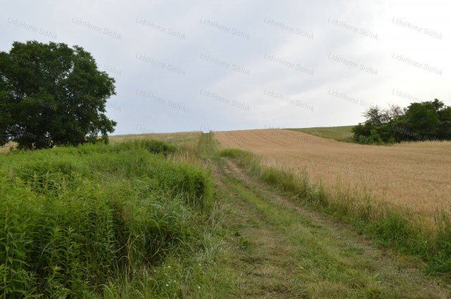 Eladó mezogazdasagi ingatlan, Bálványoson 14.9 M Ft, 1 szobás