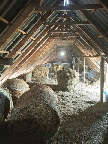 Eladó mezogazdasagi ingatlan, Baján 60 M Ft / költözzbe.hu