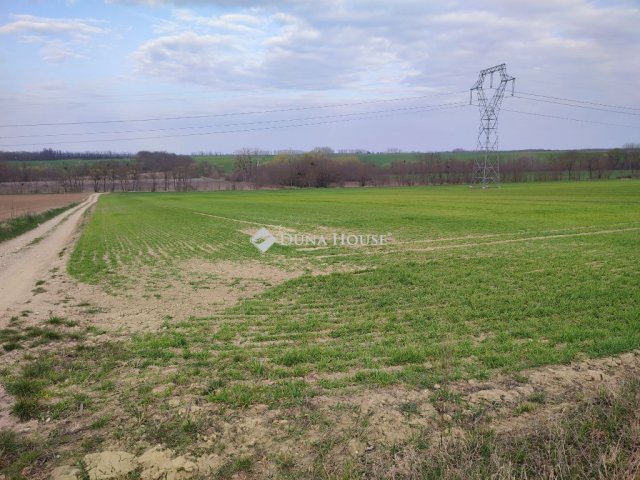 Eladó telek, Tápszentmiklóson 4.9 M Ft / költözzbe.hu