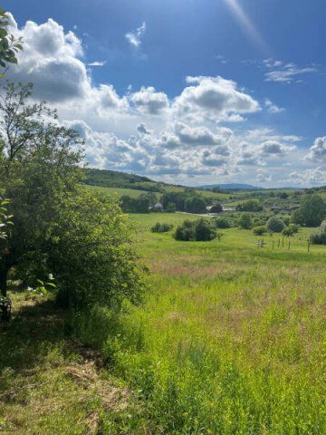 Eladó telek, Piliscsabán 40 M Ft / költözzbe.hu