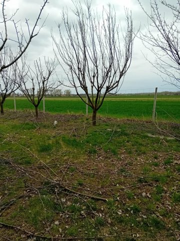 Eladó telek, Békésszentandráson 28.9 M Ft / költözzbe.hu