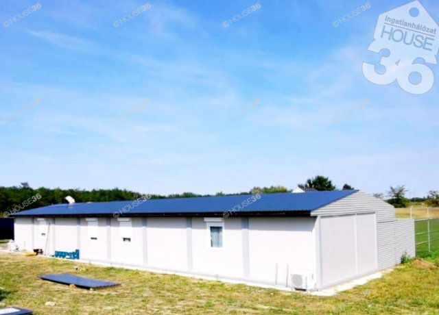 Eladó családi ház, Délegyházán 250 M Ft, 3 szobás