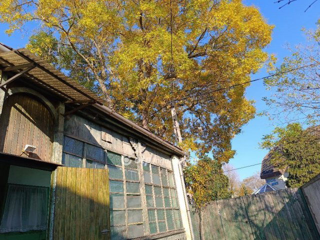 Eladó családi ház, Budapesten, III. kerületben 59.99 M Ft