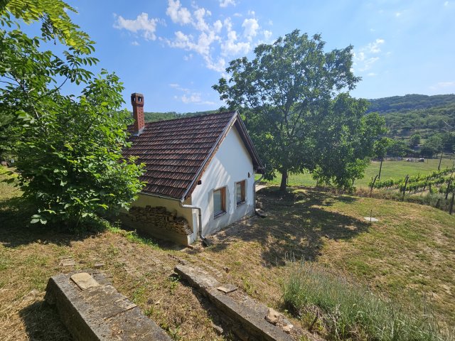 Eladó mezogazdasagi ingatlan, Szekszárdon 22.5 M Ft