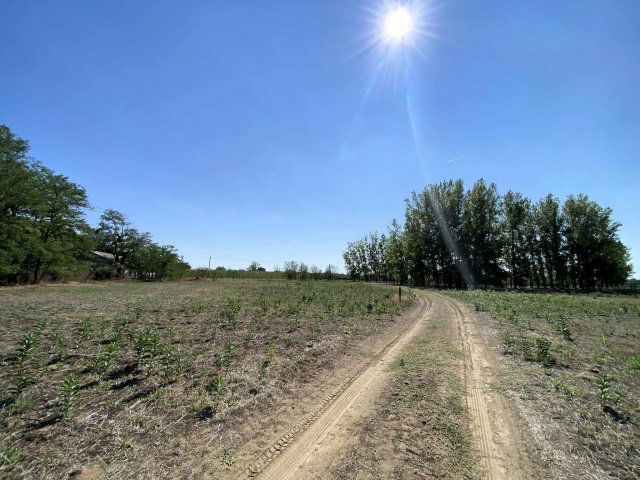 Eladó telek, Kiskunmajsán 119.9 M Ft / költözzbe.hu