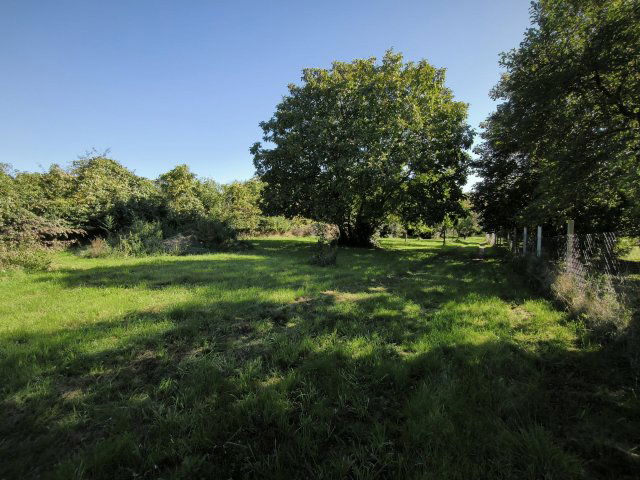 Eladó mezogazdasagi ingatlan, Alsópáhokon 24.99 M Ft