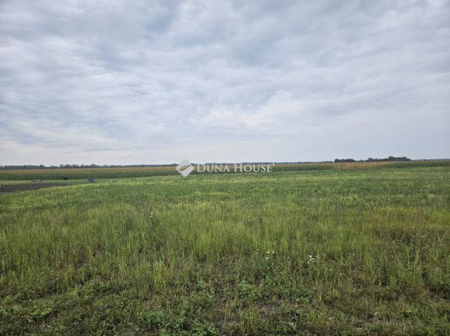 Eladó telek, Dunaszegen 27.5 M Ft / költözzbe.hu
