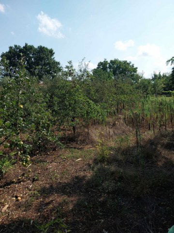 Eladó családi ház, Albertirsán 36.5 M Ft, 2 szobás