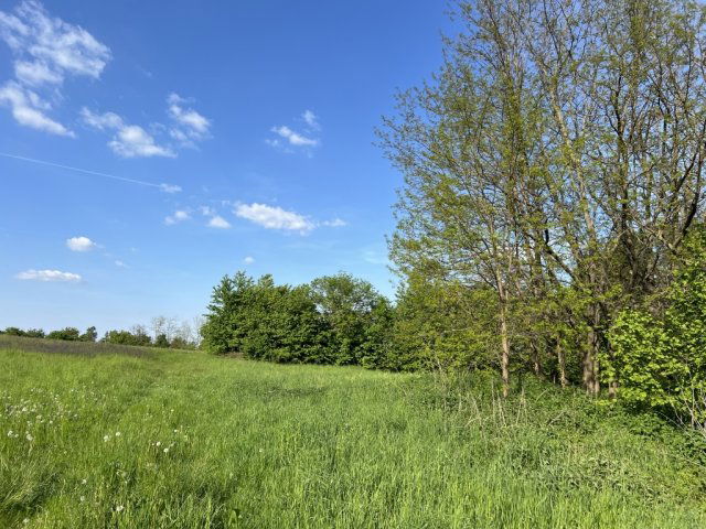 Eladó mezogazdasagi ingatlan, Dudaron 4.9 M Ft