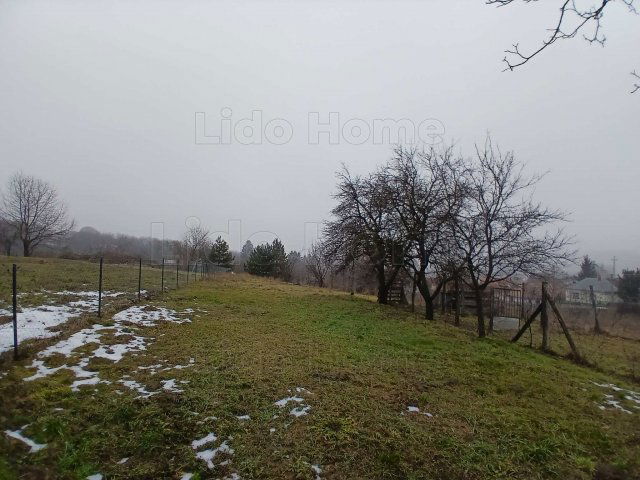 Eladó családi ház, Bakonyszentkirályon 50 M Ft, 3 szobás