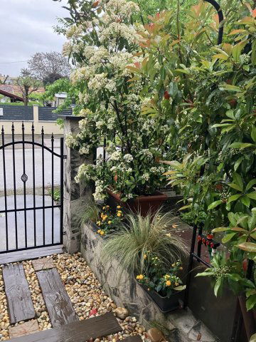 Eladó családi ház, Komáromban 174 M Ft, 3 szobás