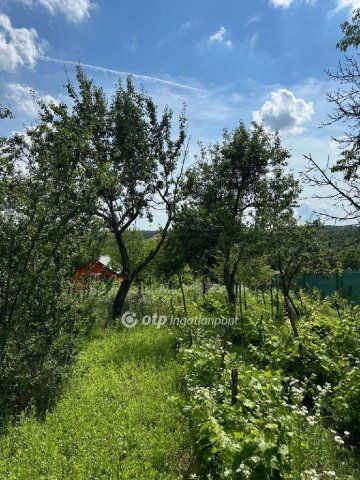 Eladó telek, Iszkaszentgyörgyön 15.35 M Ft / költözzbe.hu