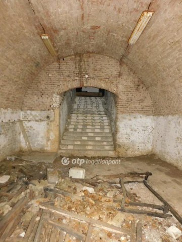 Eladó családi ház, Sásdon 500 M Ft, 10 szobás