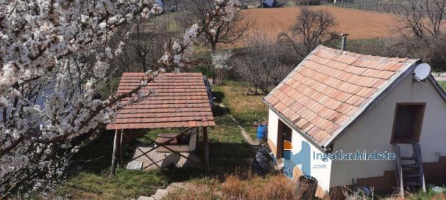 Eladó mezogazdasagi ingatlan, Rezin 5.5 M Ft / költözzbe.hu