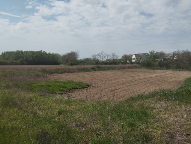 Eladó telek, Makón 7 M Ft / költözzbe.hu