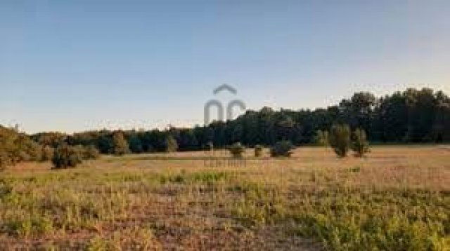 Eladó mezogazdasagi ingatlan, Budapesten, II. kerületben 14.9 M Ft