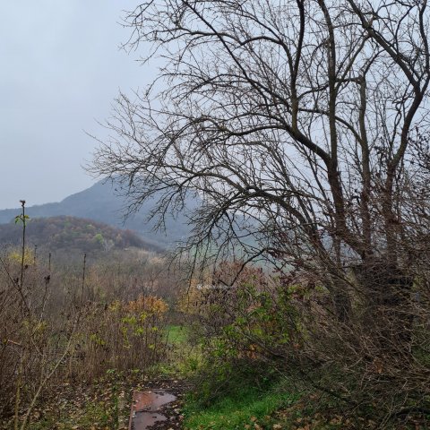 Eladó telek, Tapolcán 6.55 M Ft / költözzbe.hu