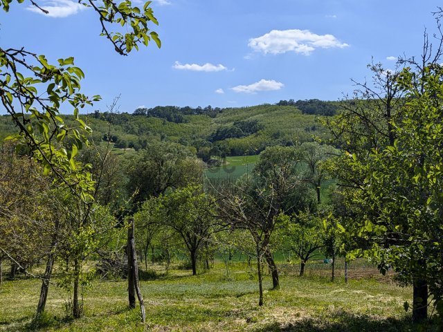 Eladó családi ház, Csőváron 59.9 M Ft, 4 szobás