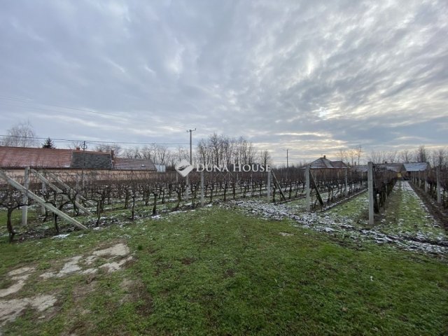 Eladó mezogazdasagi ingatlan, Daruszentmiklóson 24 M Ft, 1 szobás