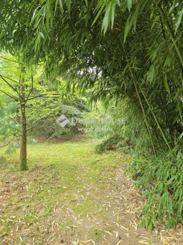 Eladó családi ház, Kistótfalun 44.9 M Ft, 3 szobás