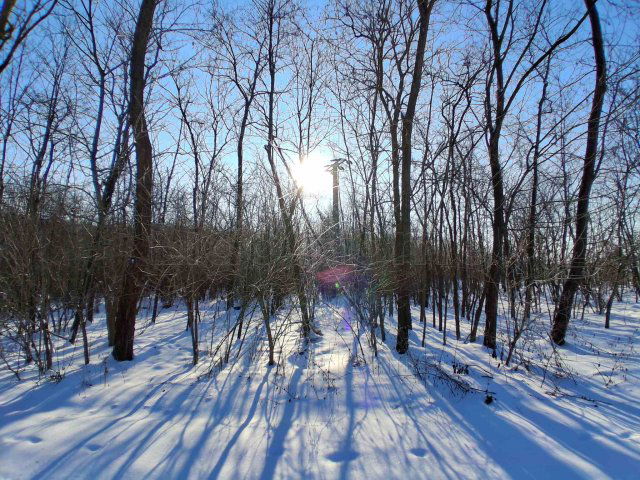 Eladó mezogazdasagi ingatlan, Tényőn 17.5 M Ft